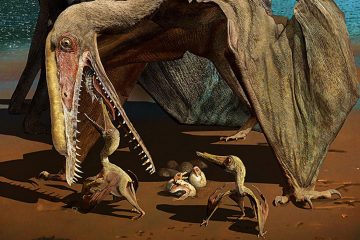 Espetáculo de pterossauros (e da Ciência brasileira)