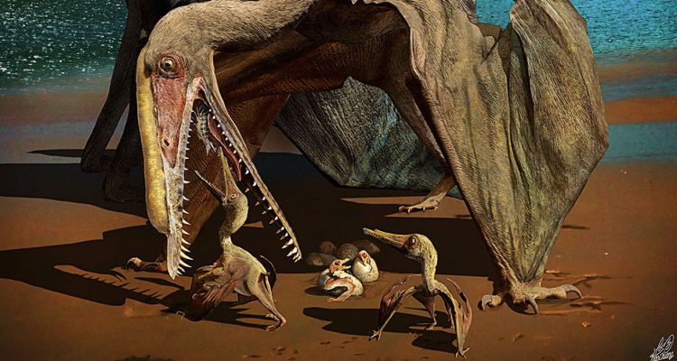 Espetáculo de pterossauros (e da Ciência brasileira)
