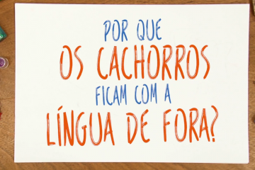 Por que os cachorros ficam com a língua de fora