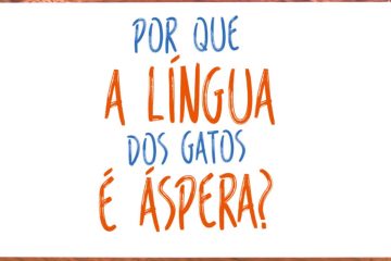 Ciência Explica- Por que a língua dos gatos é áspera