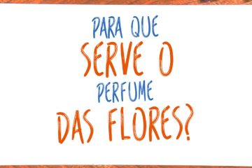 Para que serve o perfume das flores ?