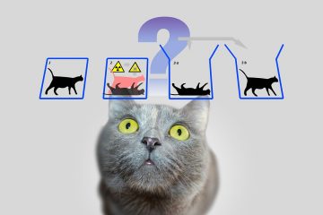 O gato não morre, mas a teoria quântica some